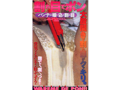 ����ڂŃ|���@�p���e�B�ɐH���ފ����