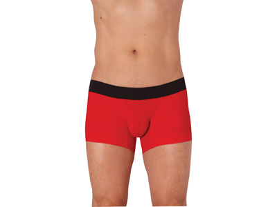 ���[���C�Y�t�B�b�g�{�N�T�[�p���c