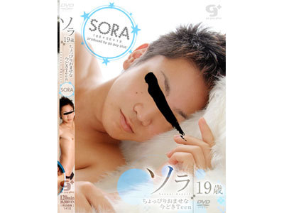 Sexual Report SORA 19�΁iDVD�j