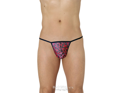 ���b�h���I�p�[�h T�o�b�N